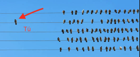 OPinión BLAcksheep pro academy de Jon trader opiniones