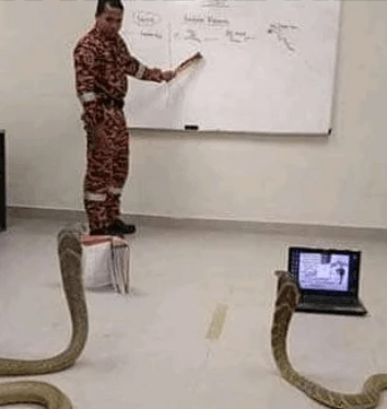 Precio-del-curso-de-fabio-serna