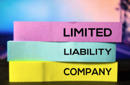 que es una llc