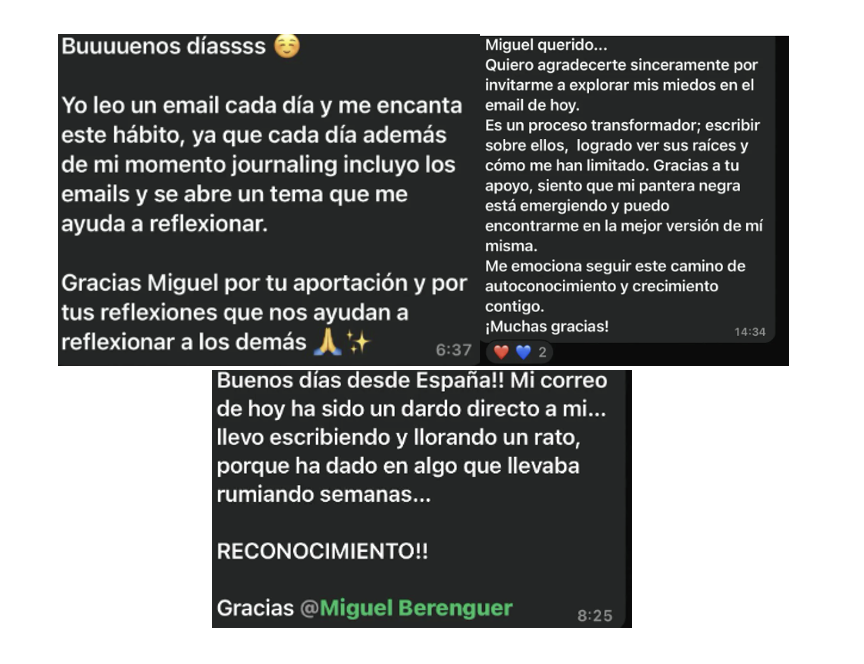testimonios de los alumnos de miguel berenguer precio del Programa de miguel berenguer